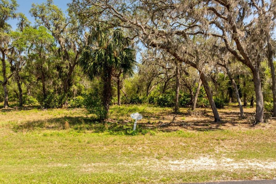 5+ Acre Waterfront Lot in the Gated Clearwater Reserve Community.

Enjoy privacy, space, and luxury in the exclusive Clearwater Reserve community. This 5.24 - acre wooded lot, with 2.09 high and dry buildable land with no rear neighbors! Lot 63 is the perfect blank canvas to build your custom dream home—with no required timeframe to build and you can bring your own builder! Surrounded by custom homes and natural beauty, this is your chance to own a peaceful slice of paradise close to the city.

Clearwater Reserve is a hidden gem, surrounded by lush conservation land and dotted with stunning custom-built homes. The community features private paved roads, underground utilities, and newly installed fiber-optic internet, ensuring both convenience and modern connectivity.

Community amenities include:

• Tennis courts/Pickle Ball
• Fishing dock
• Expansive open green spaces rich with Florida wildlife and birdlife


Located just 15 minutes from Florida Turnpike entrances and near U.S. Highway 27, this property blends the charm of Old Florida with easy access to Central Florida destinations.