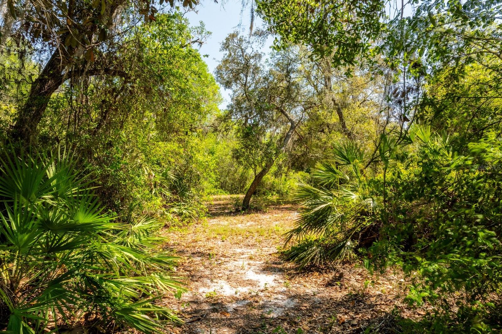 CLEARWATER RESERVE - Land