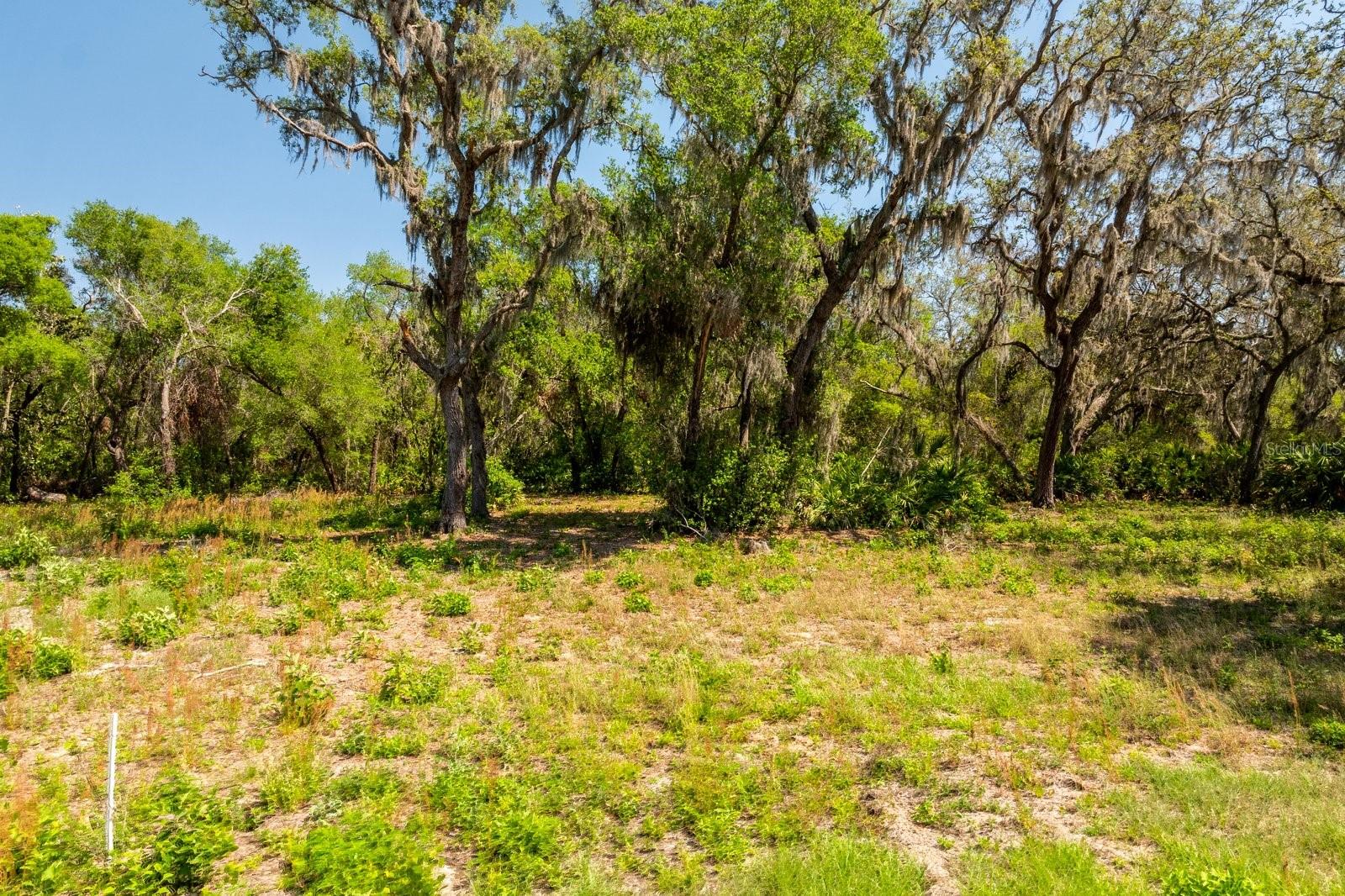 CLEARWATER RESERVE - Land