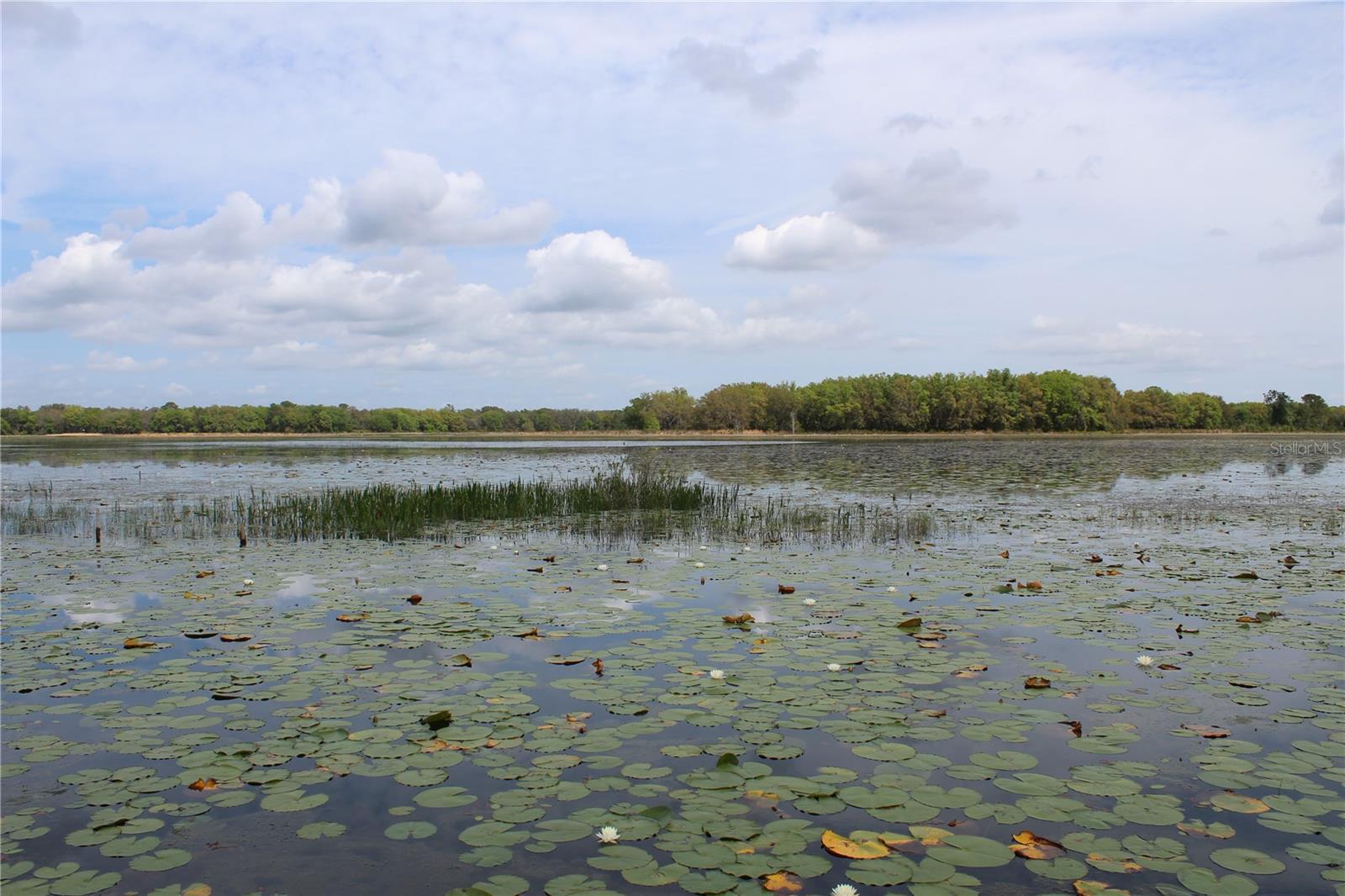 CLEARWATER RESERVE - Land