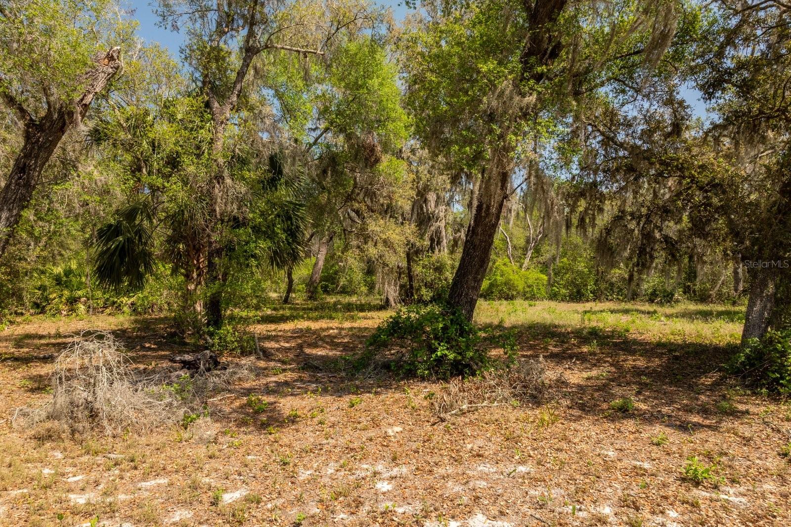 CLEARWATER RESERVE - Land