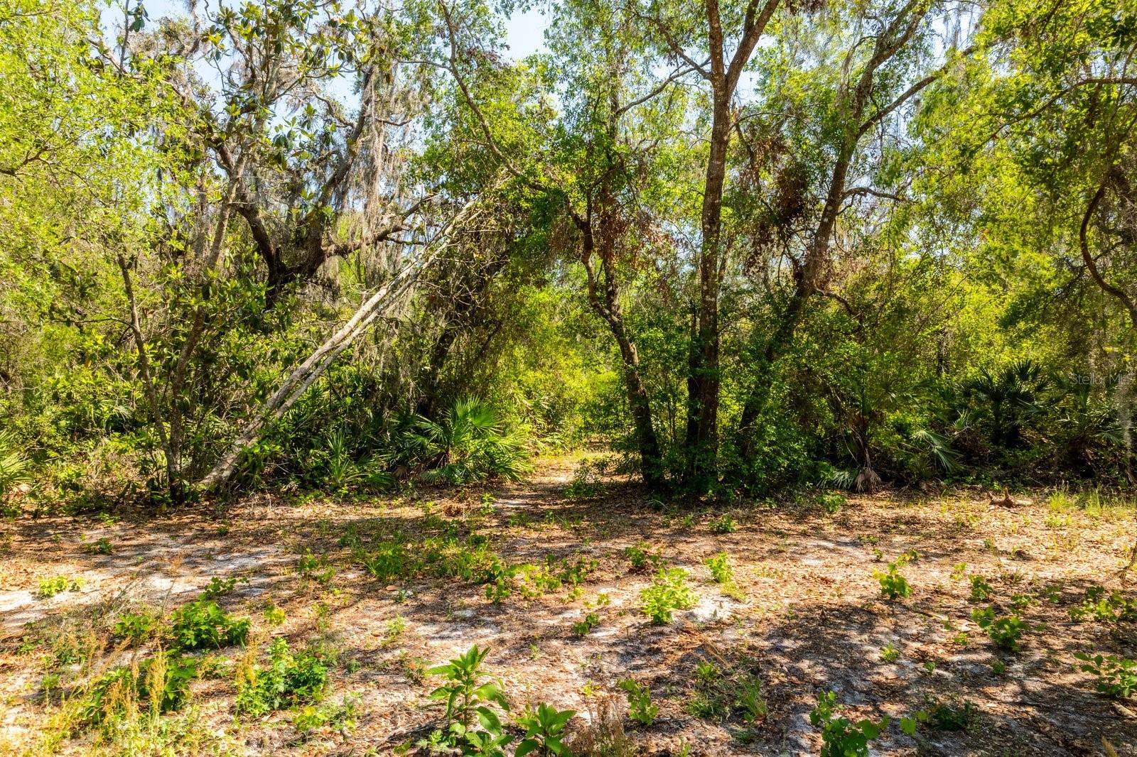 CLEARWATER RESERVE - Land