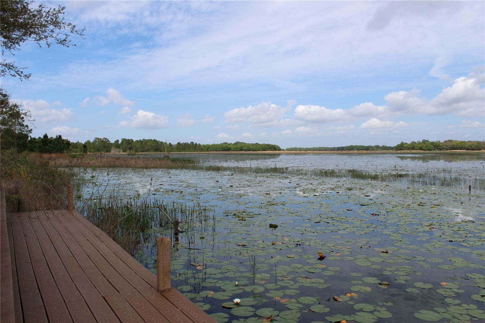 CLEARWATER RESERVE - Land