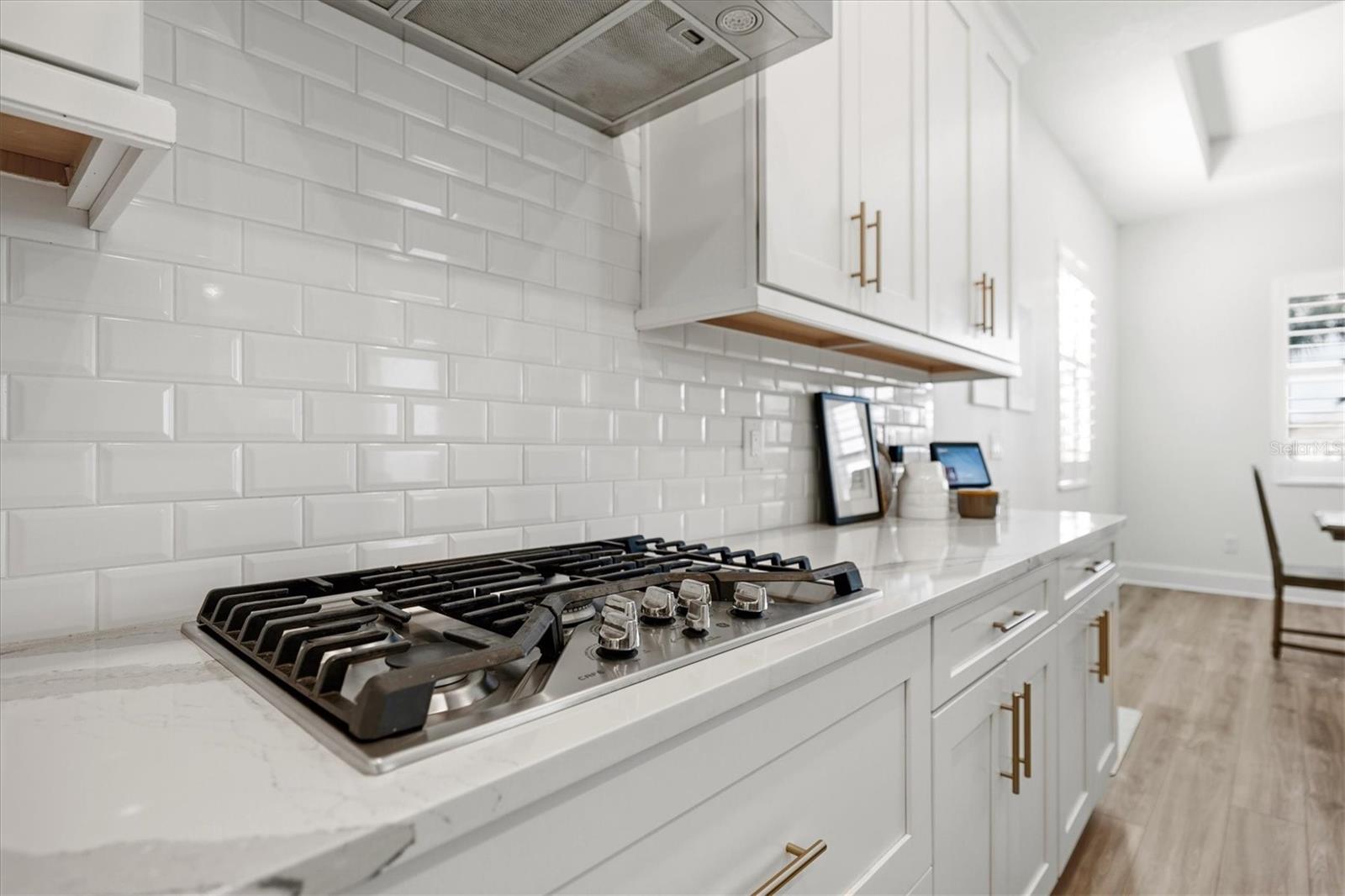 RIVO LAKES - Residential