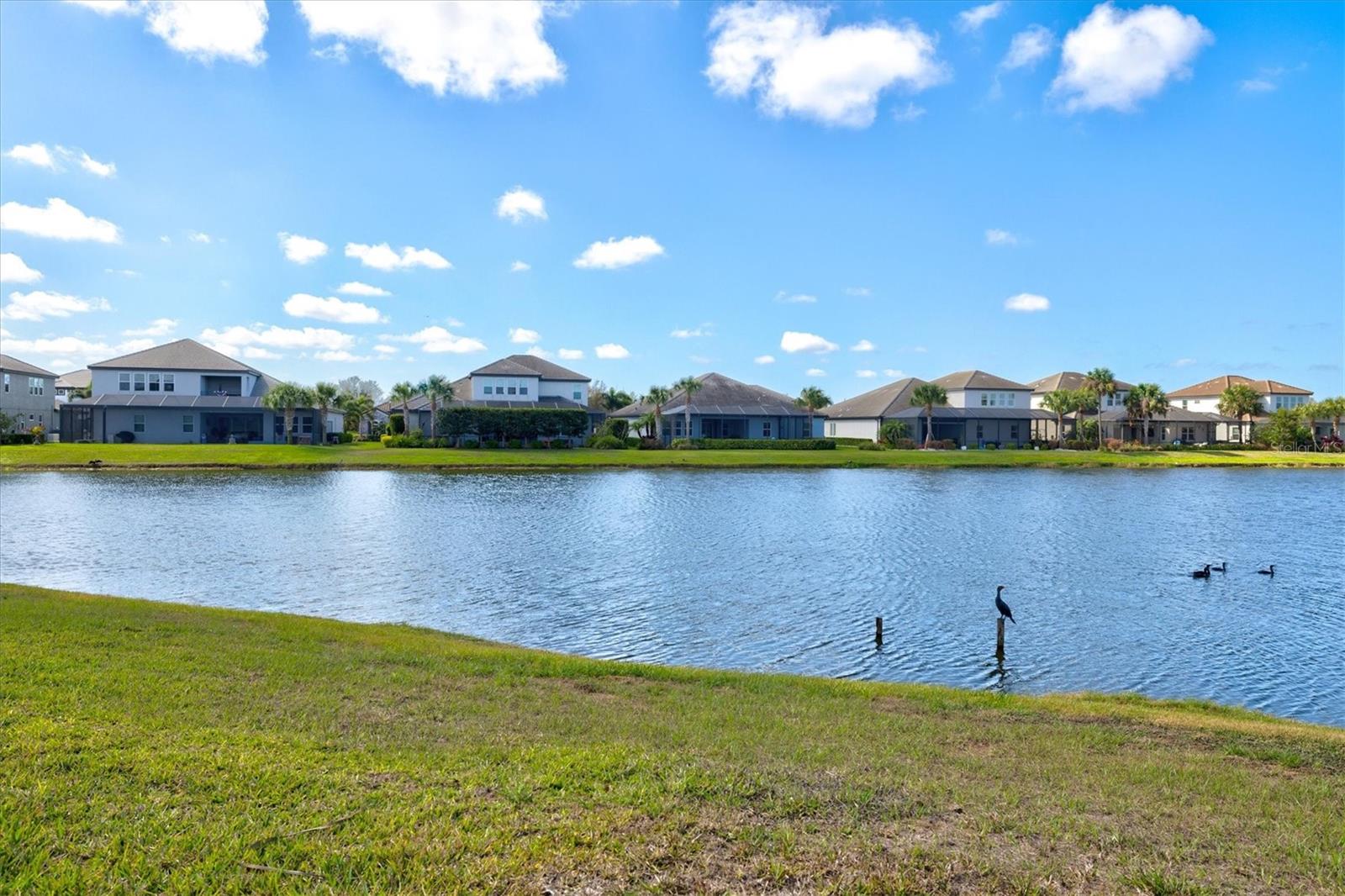 RIVO LAKES - Residential