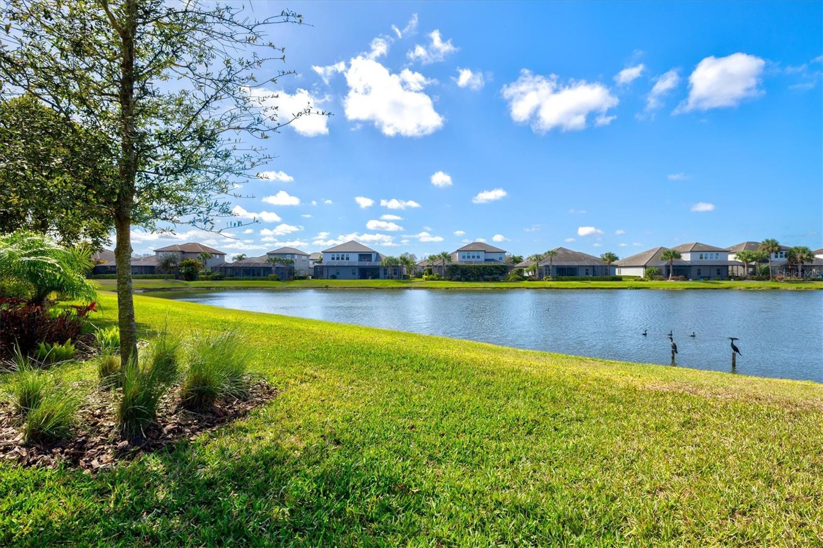 RIVO LAKES - Residential