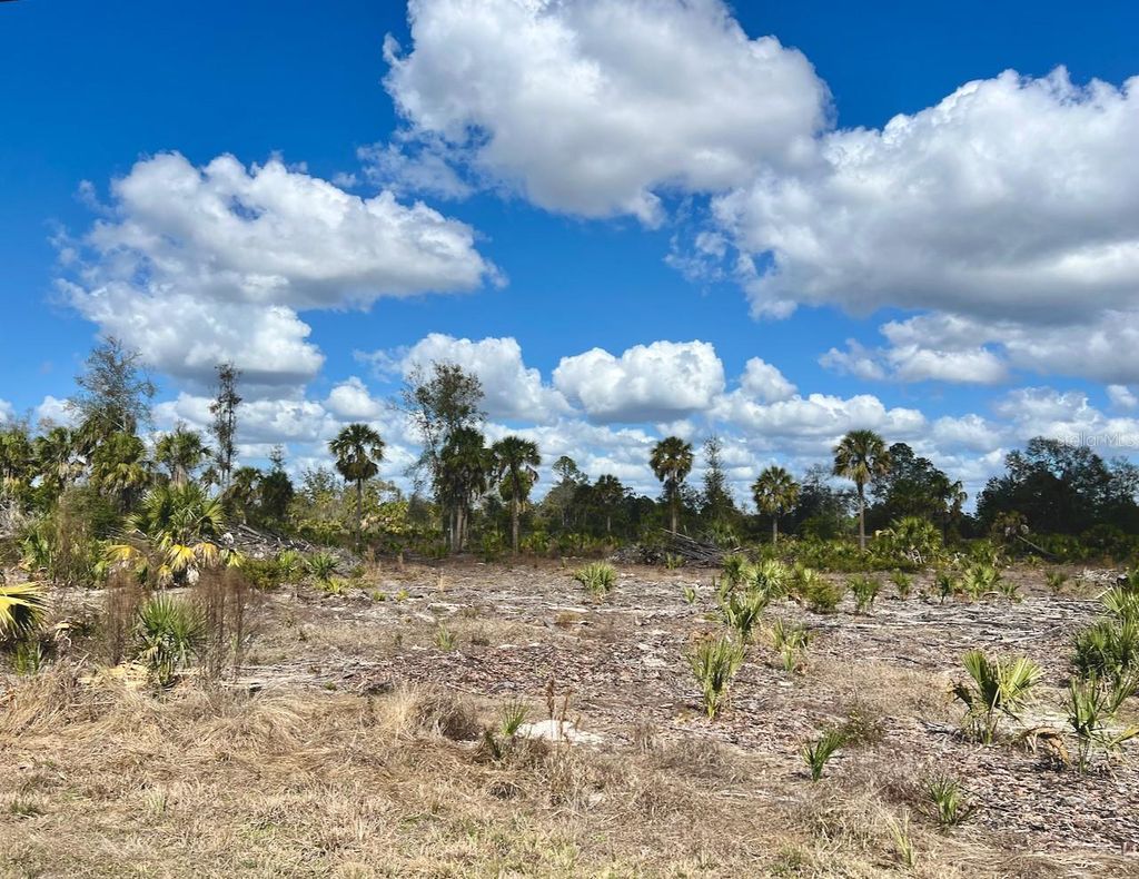 Photo of Shiloh Road, Cedar Key, FL 32625 (MLS # OM720272)