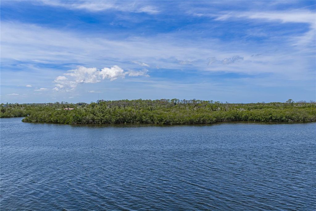 Photo of 8150 Brent Street #725, Port Richey, FL 34668 (MLS # TB8507061)