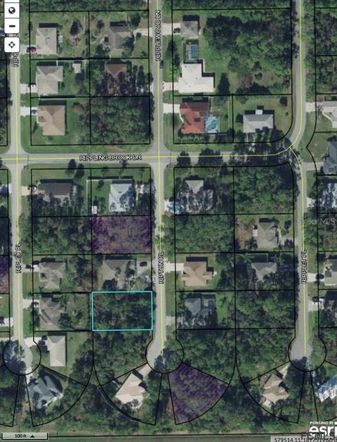 8 RIPTON PLACE PALM COAST FL 32164