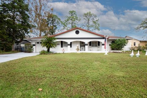 A home in PALM COAST