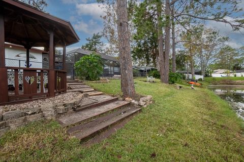 A home in PALM COAST