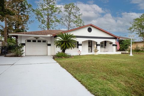 A home in PALM COAST