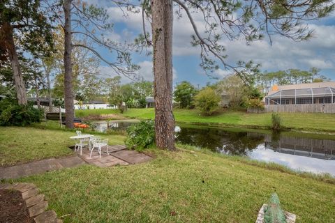 A home in PALM COAST