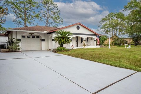 A home in PALM COAST