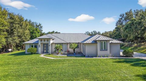 Photo of 6553 Clayton Street, Mount Dora, FL 32757 (MLS # G5105153)