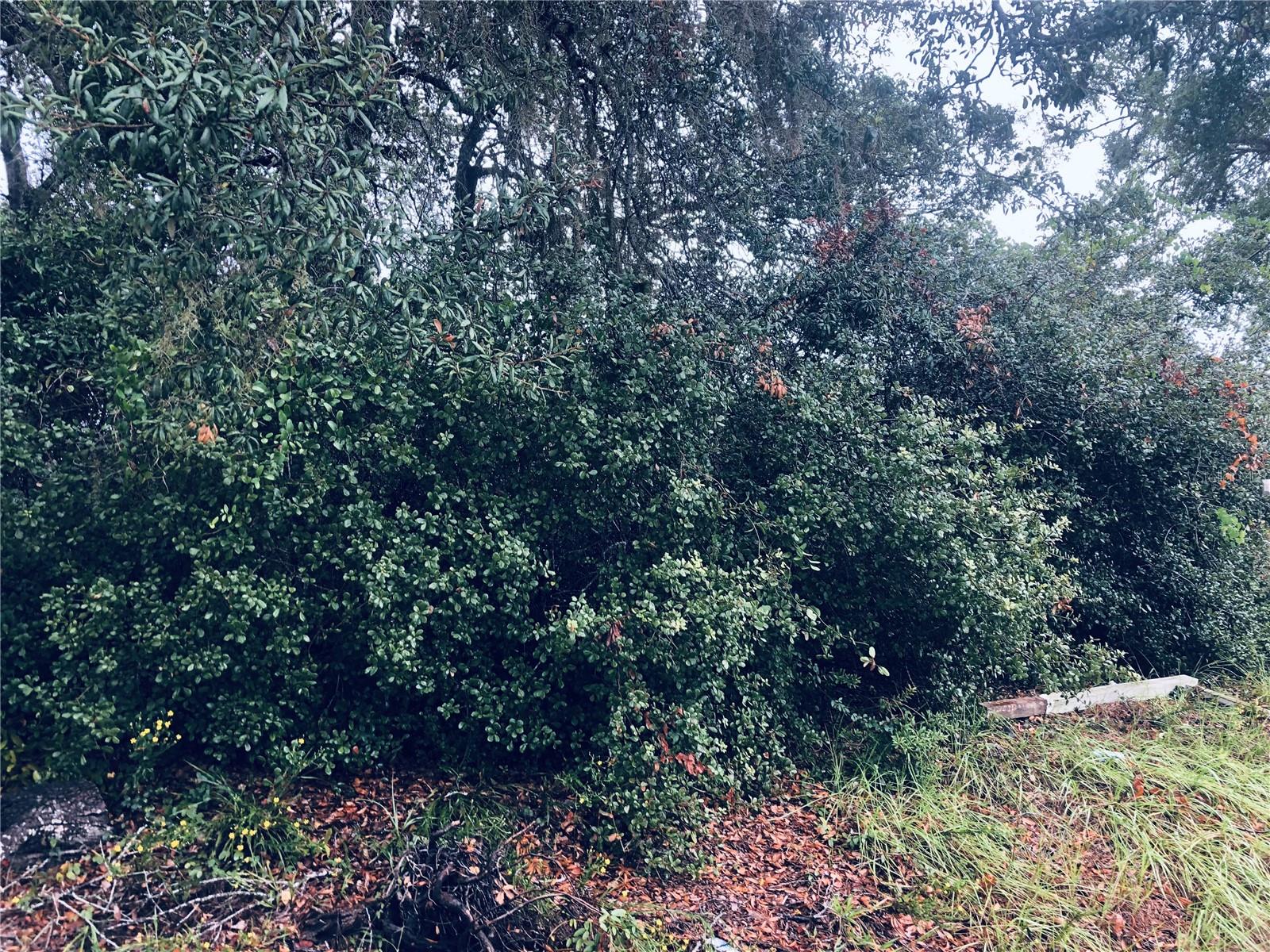 DELTONA LAKES UNIT 39 - Land