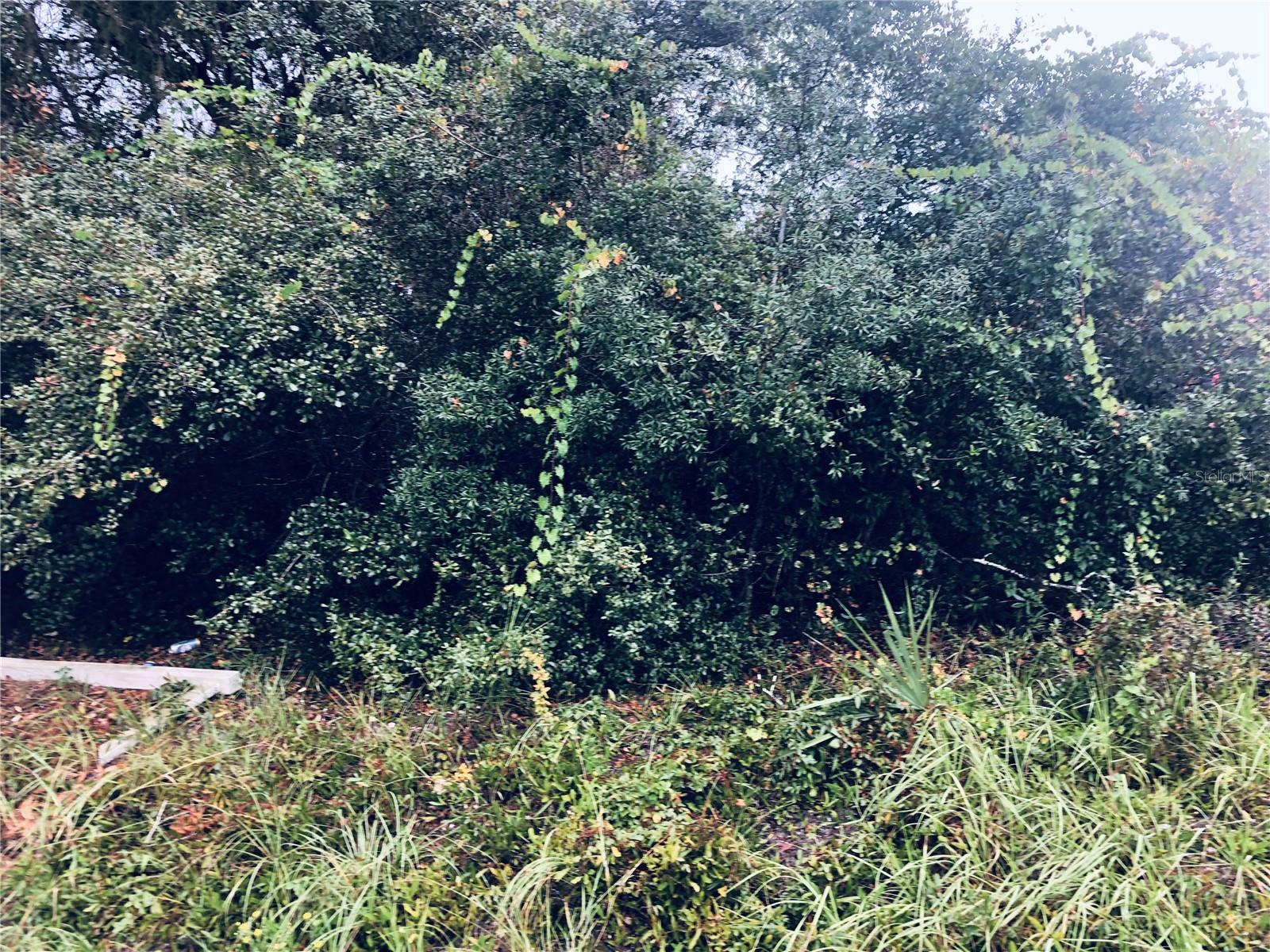 DELTONA LAKES UNIT 39 - Land