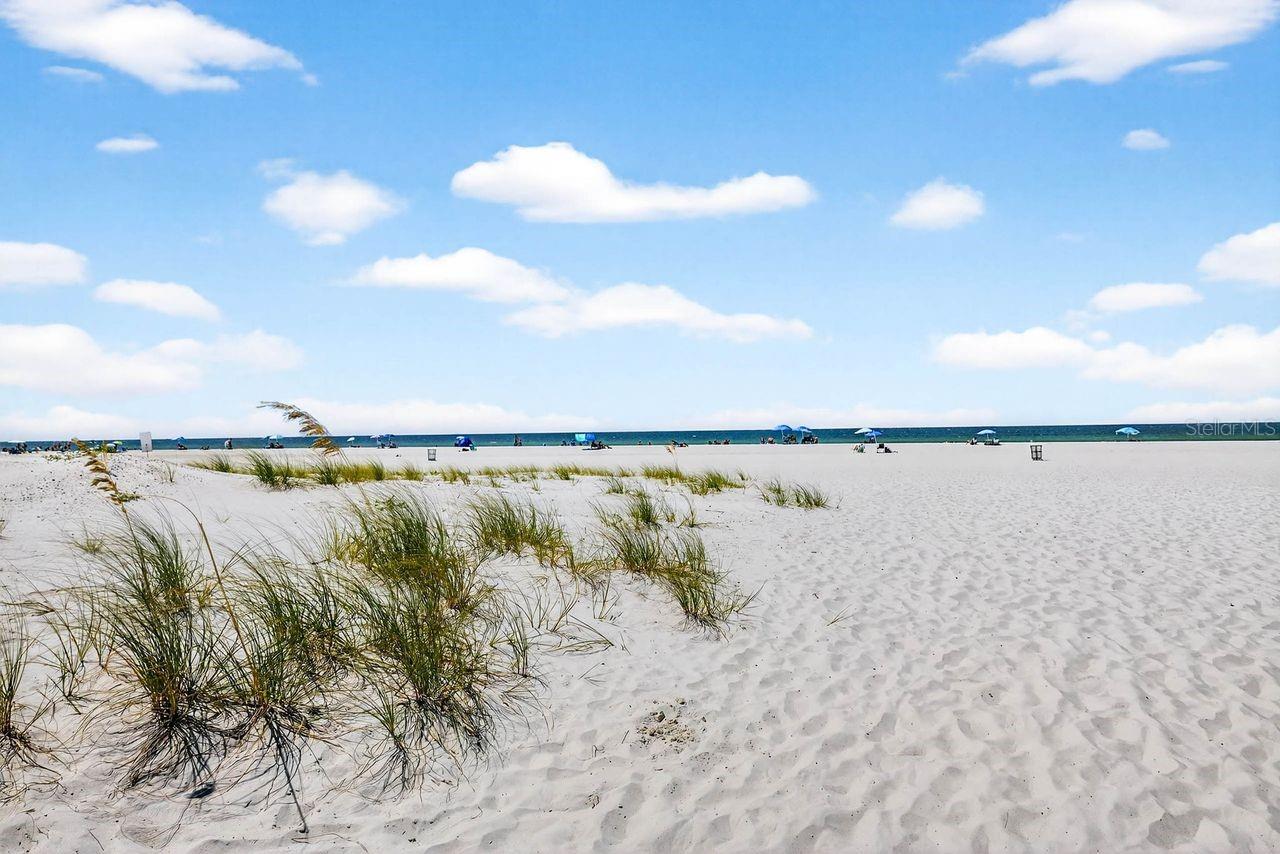 CLEARWATER BEACH REV - Residential
