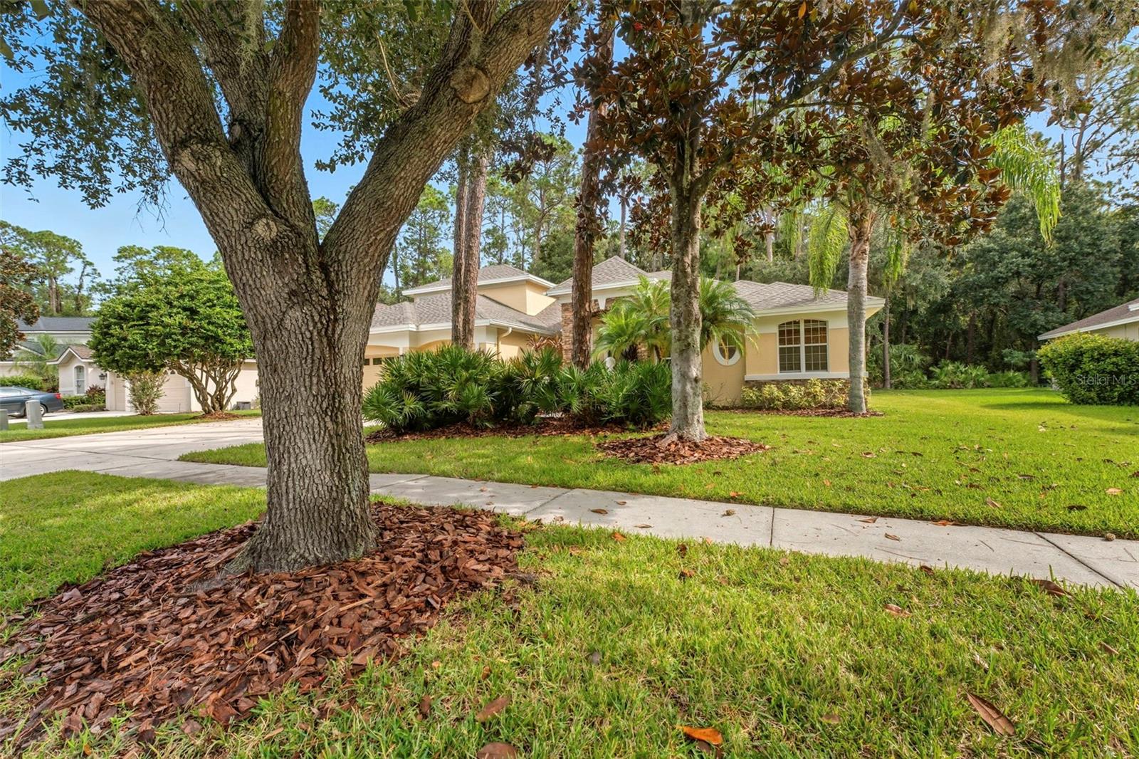 RIVERWOODS HAMMOCK - Residential