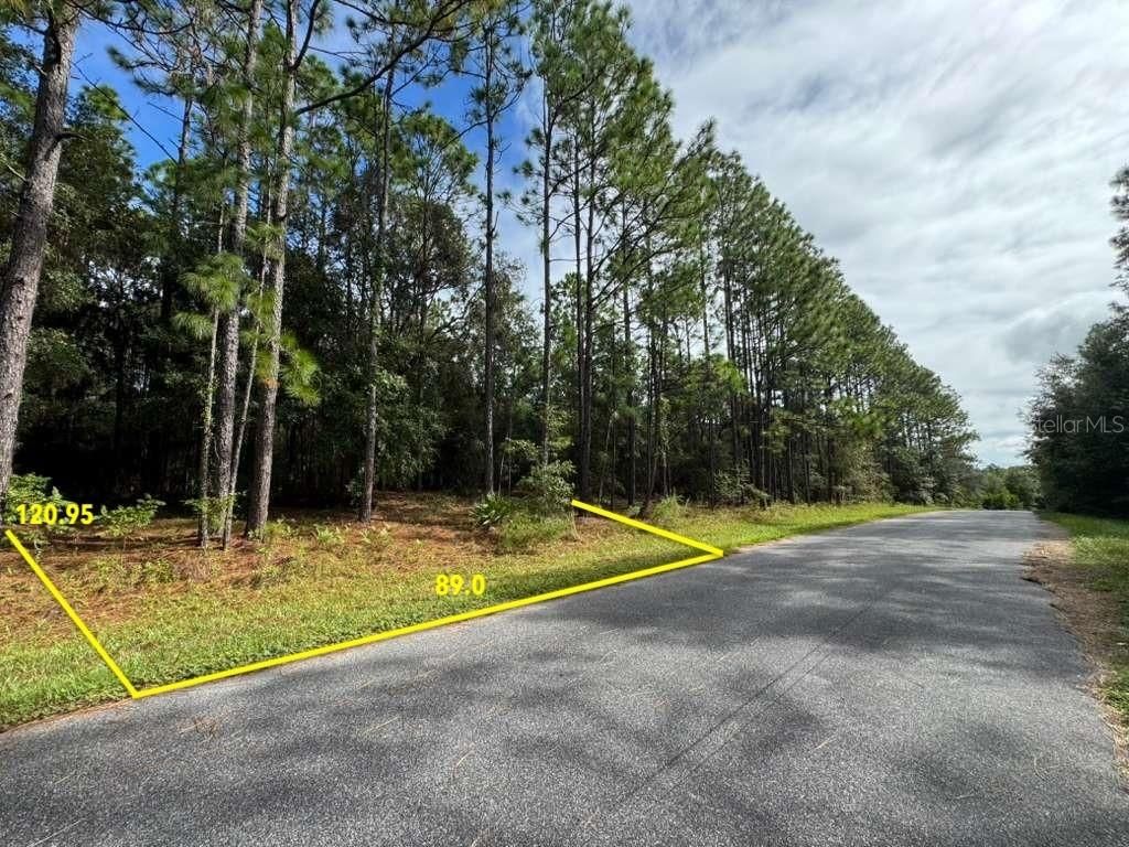 Photo of 899 W Bannister Drive, Citrus Springs, FL 34434 (MLS # O6354470)