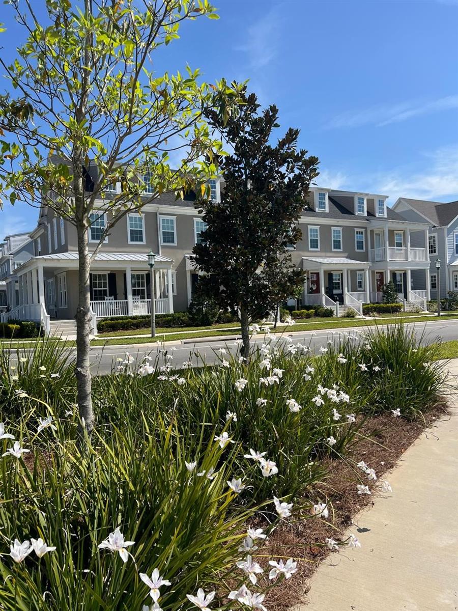 CELEBRATION ISLAND VILLAGE PH 1B - Residential Lease