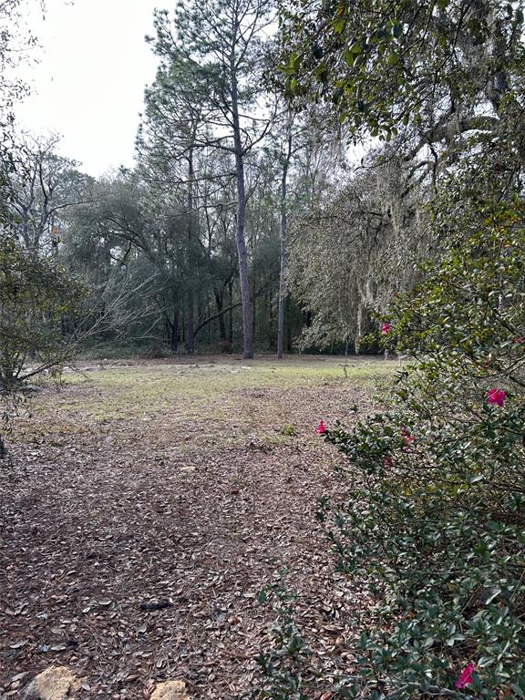 UNIVERSITY OAKS - Land