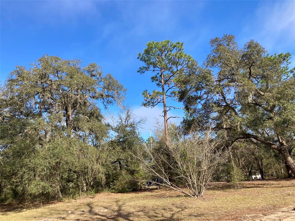 UNIVERSITY OAKS - Land