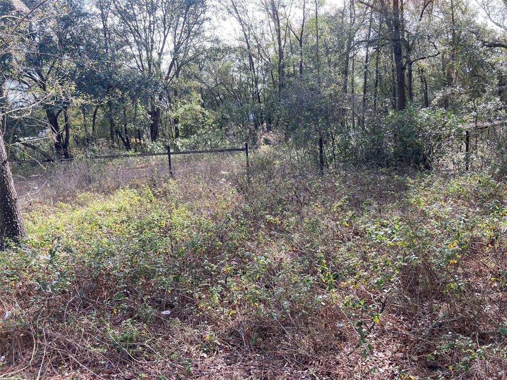 UNIVERSITY OAKS - Land