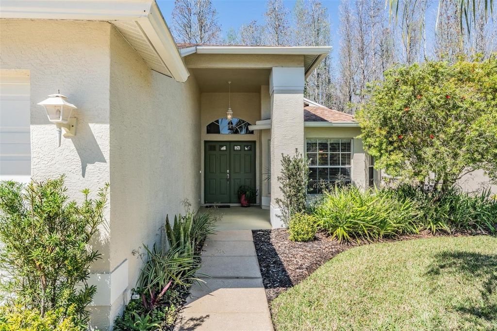Photo of 1107 Sweet Jasmine Drive, Trinity, FL 34655 (MLS # W7873315)