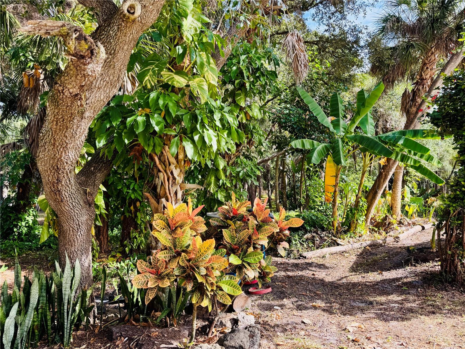 NORTH PORT CHARLOTTE ESTATES ADD 01 - Residential