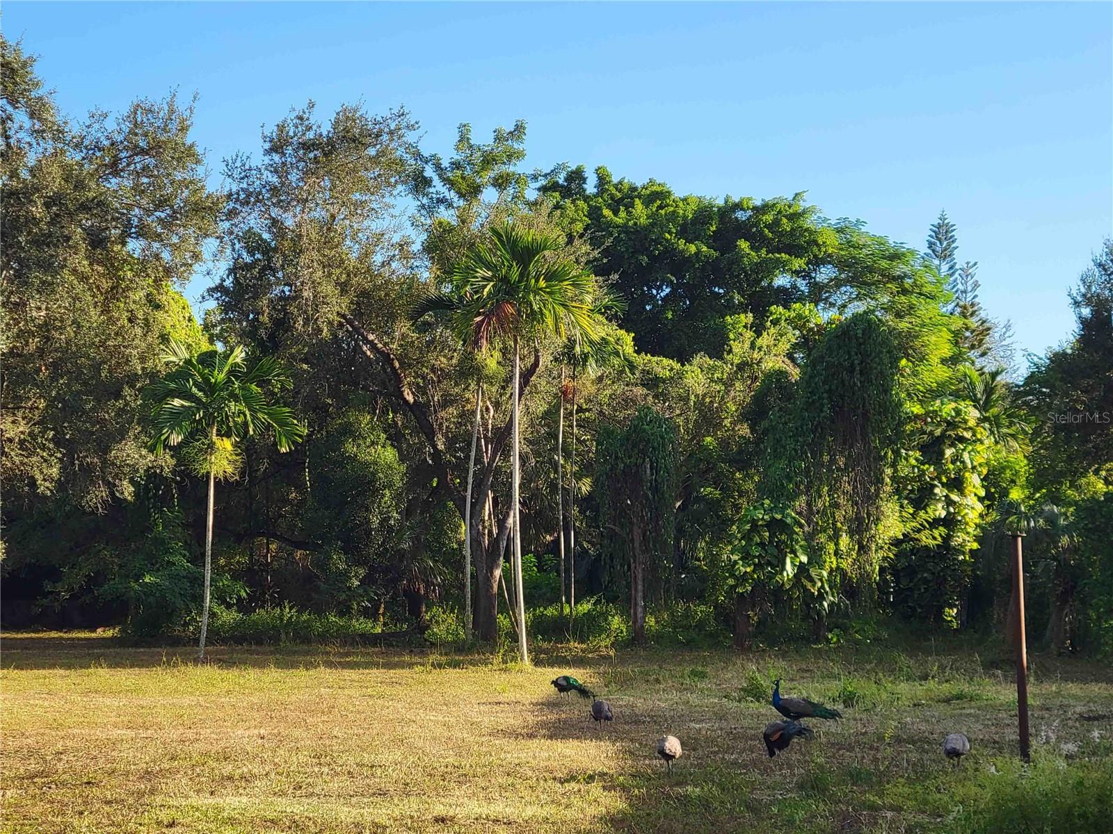 SOUTH MIAMI GARDEN HEIGHTS ADD 01 - Land