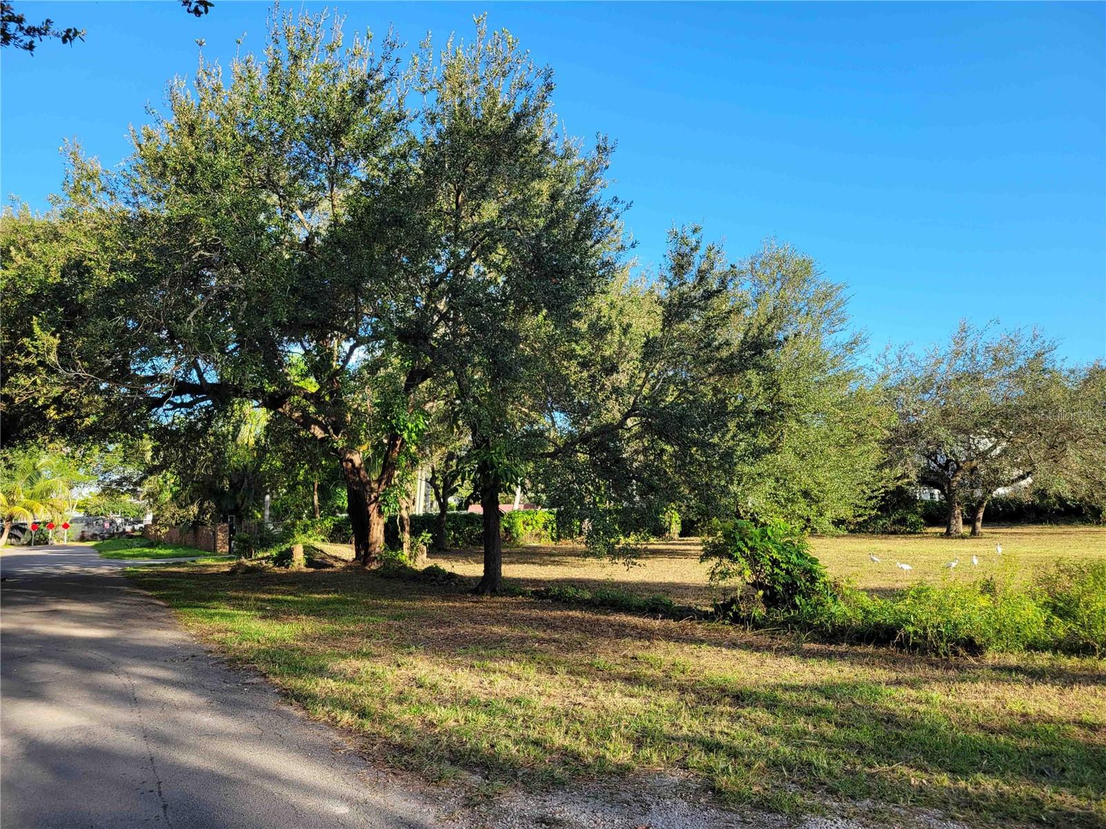 tbd SW 93RD STREET