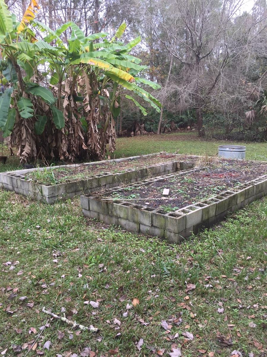 Tomoka Farms - Residential