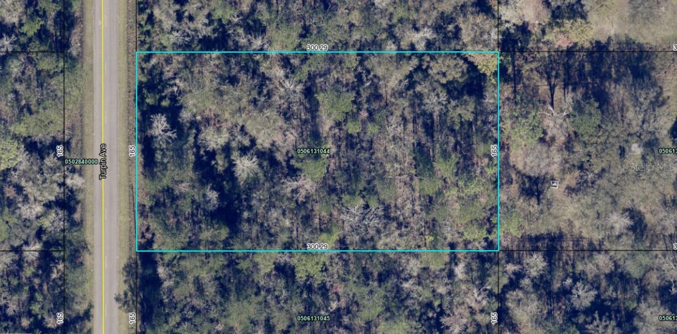 FLAGLER ESTATES UNPLATTED UNIT 3 - Land