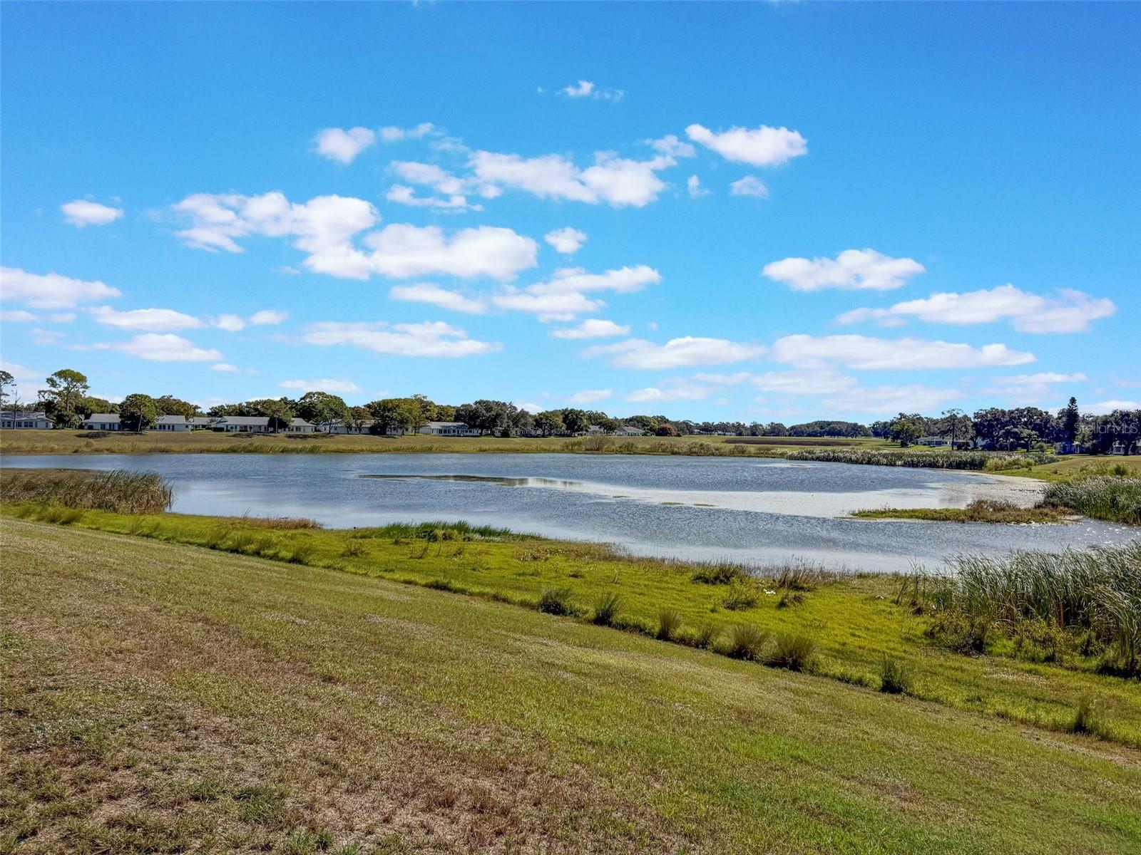 TIMBER OAKS FAIRWAY VILLAS - Residential