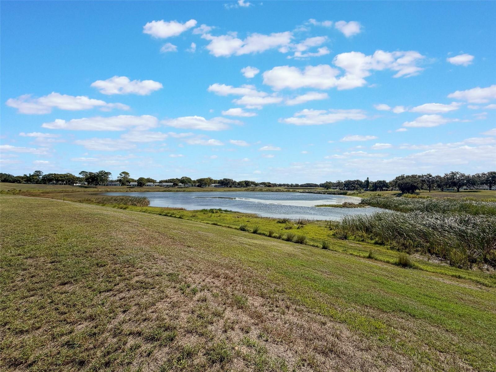 TIMBER OAKS FAIRWAY VILLAS - Residential