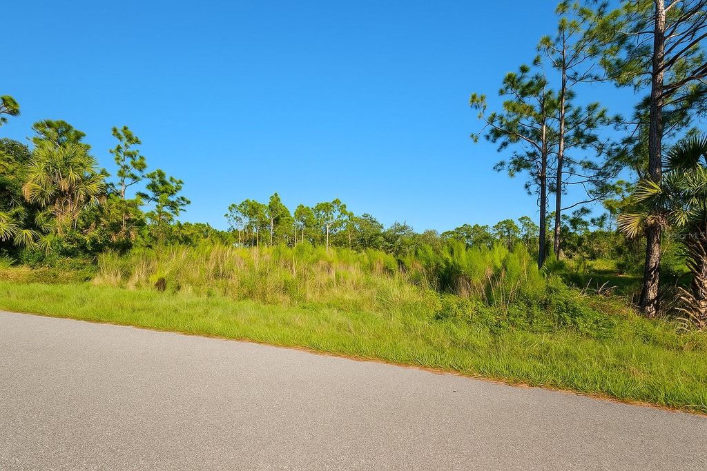 Photo of 3494 Durkee Street, Punta Gorda, FL 33980 (MLS # D6144271)