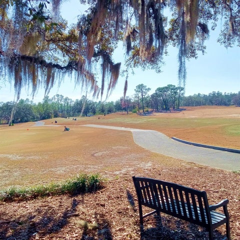 Tiny photo for 14 Carnation Court, Homosassa, FL 34446 (MLS # TB8560773)