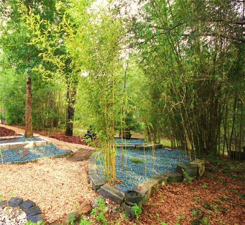 Tiny photo for 14 Carnation Court, Homosassa, FL 34446 (MLS # TB8560773)