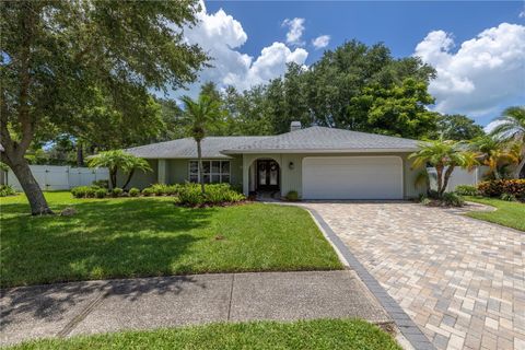 Single Family Residence in SEMINOLE FL 10008 LINDEN PLACE DRIVE.jpg