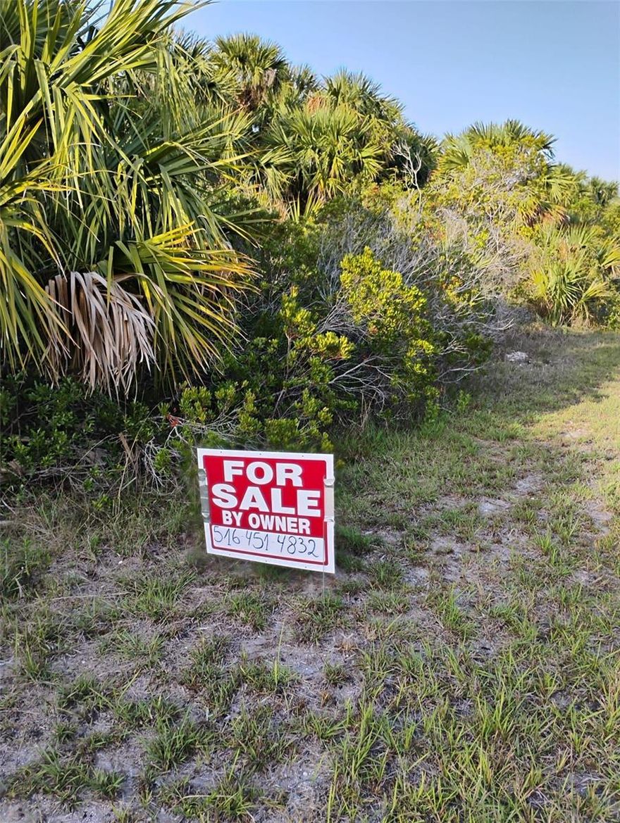 Discover the perfect opportunity to build your dream home on this stunning 0.23-acre lot located on Sandlewood in Palm Bay, FL! Nestled in a peaceful rural setting, this spacious property offers the ideal combination of privacy and convenience. Whether you're dreaming of a private estate, a country retreat, or simply a spacious place to enjoy Florida’s natural beauty, this property has it all. No HOA. Bring your plans and make it yours!