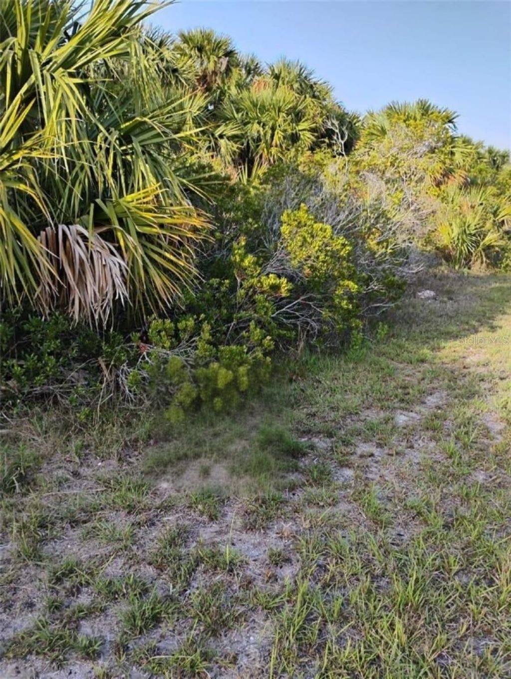 Photo of 693 Sandlewood Street SW, Palm Bay, FL 32908 (MLS # O6321315)