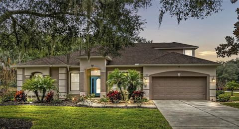 380 SPEYSIDE LANE APOPKA FL 32712