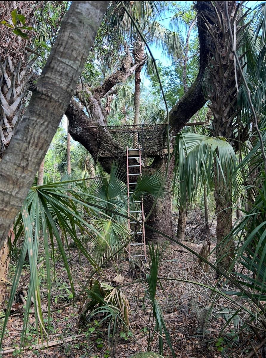 1786 PEACE RIVER WOODS