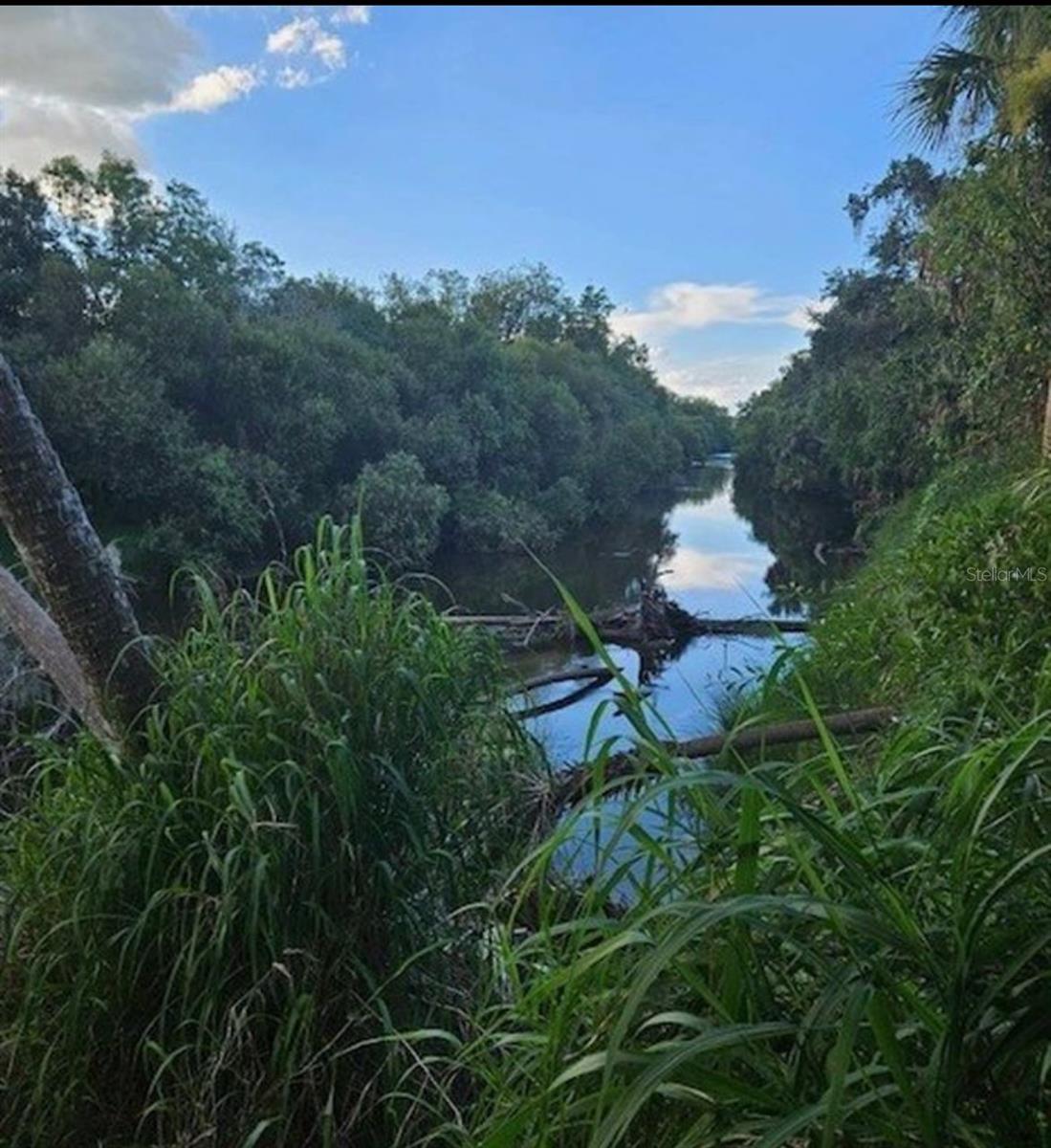 1786 PEACE RIVER WOODS