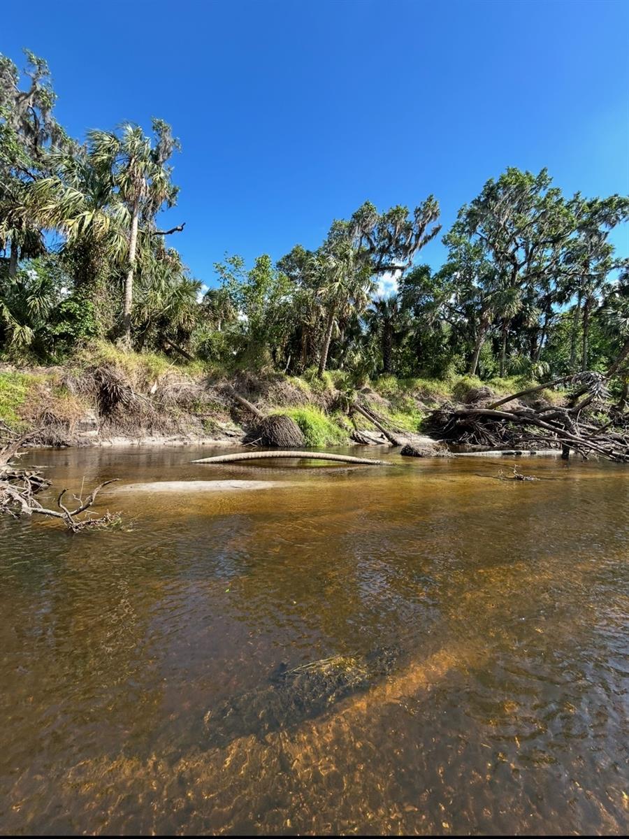 1786 PEACE RIVER WOODS