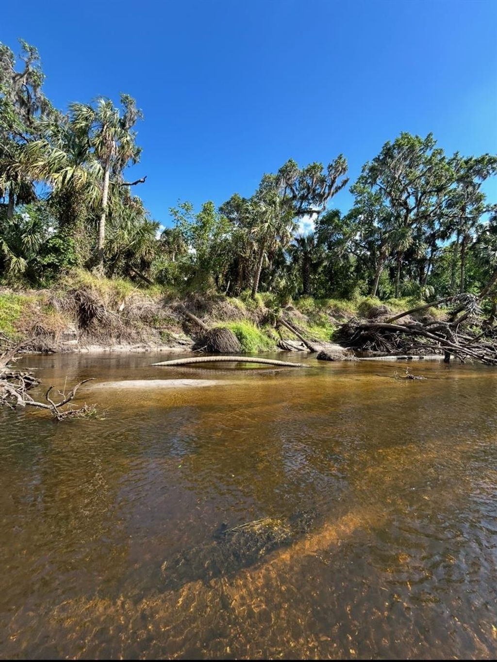 Photo of 1786 Peace River Woods, Wauchula, FL 33873 (MLS # L4957505)