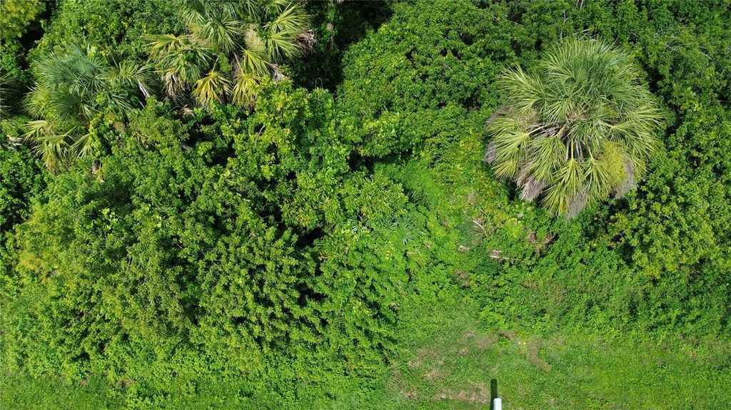 Photo of 4099 Dotham Street, Port Charlotte, FL 33948 (MLS # O6337757)