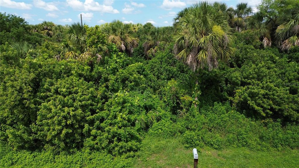 Photo of 4099 Dotham Street, Port Charlotte, FL 33948 (MLS # O6337757)