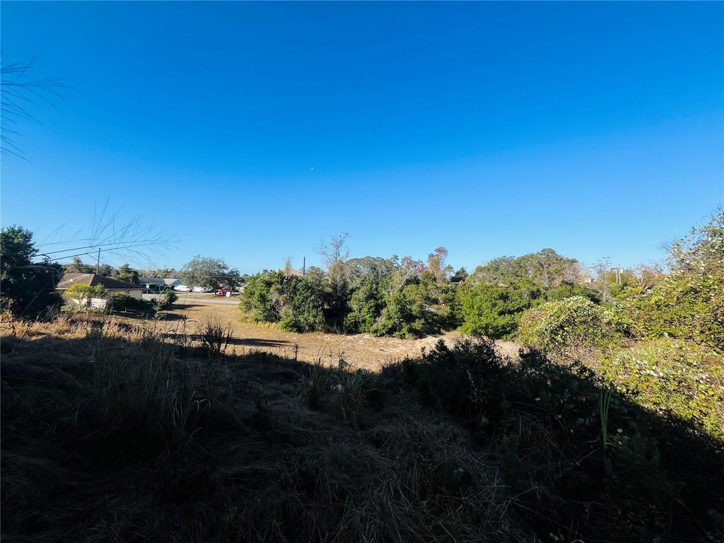 Photo of 2106 E Gloria Drive, Deltona, FL 32725 (MLS # O6372571)